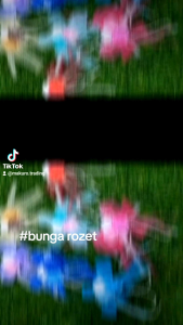 1pcs rozet bunga kendarat rewang bunga khawin rozet kenduri bunga hantaran bunga rozet flower corsage bunga dada bunga penanggah