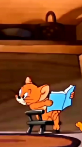 TEMPAT SENDOK MASVION TUTUP SUPER TEBAL BEST SELLER!!!