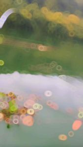 Mồi câu cá chép hạt - trạng thái mồi khi câu vê viên - bung toả tạo ổ dẫn dụ cá cực tốt