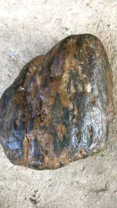 Đá cảnh tự nhiên 14kg