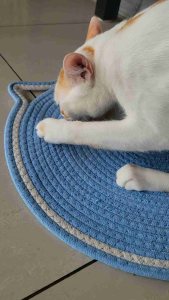 [猫抓地毯] Cat Scratching Pad scratcher mat 42cm natural cotton rope pencakar kucing karpet