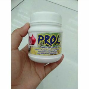 PROL Root Activator 100g Seed Treatment Bawang Merah