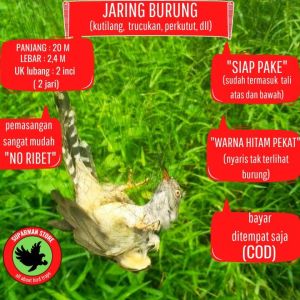 JARING BURUNG KUTILANG 10 JARING BURUNG TILANG JARING BURUNG GENTILANG JARING BURUNG CANGKURILANG JARING BURUNG KUTILANG JARING KUTILANG JARING TILANG JALA JEBAK BURUNG KUTILANG ALAT JEBAK BURUNG KUTILANG JARING JEBAK BURUNG MURAH JALA JARING BURUNG