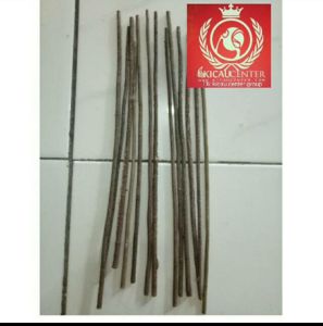 TANGKRINGAN PLECI DAN KOLIBRI ASEM BALI