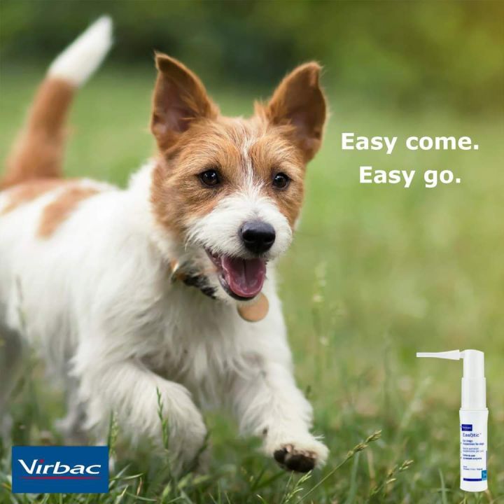 Virbac Easotic Ear Drops 10ml for dogs, prevents otitis, odor