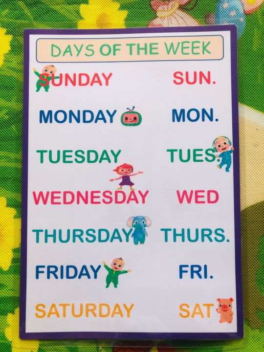 Laminated Chart DAYS OF THE WEEK | Lazada PH