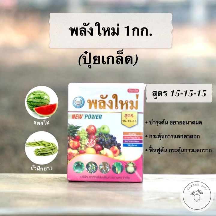 10 อันดับ ปุ๋ยและฮอร์โมนพืชยอดนิยม สำหรับสวนสวยในปี 2026