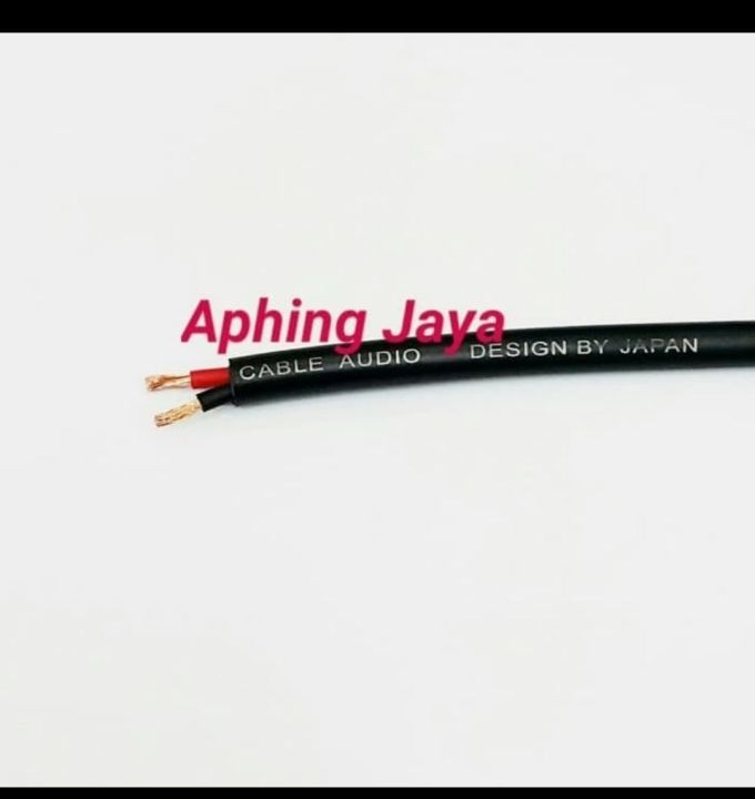 Kabel Speaker Pro Outdoor High Quality Audio Cable TITANSize : RVV2 x 1 ...