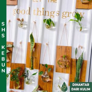 Wall Hanging Glass Vase Pasu Gantung Dinding Kaca SHS KEBUN
