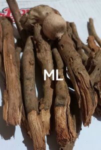 Akar pinang segar original 500 gram