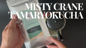 Premium Grade Tamaryokucha by Misty Crane | Japanese Green Tea from Ureshino Japan Saga | loose leaf green tea