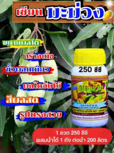 ฮอร์โมนฉีดพ่นมะม่วง ขนาด 250 ซีซี สำหรับฉีดพ่นทางใบ ช่วยขยายผลโต สร้าวเนื้อ สร้างสี ขั้วเหนียว สีผลสด รูปทรงสวย