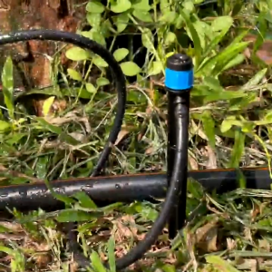 มินิสปริงเกอร์ขาปักหัวน้ำเงิน มินิสปริงเกอร์ขาปัก360องศา