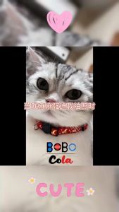 Kalung Kucing Kalung Anjing Reflektif Dapat Disesuaikan Lonceng Kalung Hewan