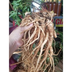 Đương quy bổ huyết