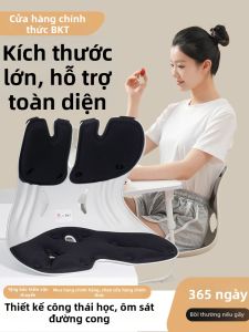 BKT | Đệm Hỗ Trợ Thắt Lưng Ghế Ergonomic Thoáng Khí
