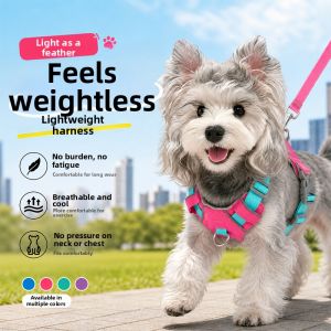 Hadassah | Breathable Lightweight Small Medium Dog Harness Leash