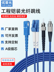 Armored Anti-Rodent Fiber Optic Jump Cable SC to LC FC ST Single Mode Dual Core 4/6/8 Core Ten Thousand Million Multi Mode Fiber Tail Cable
