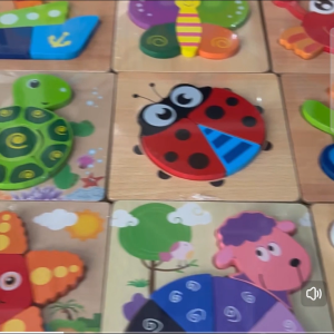 [SG] 3D Wooden Puzzle Jigsaw Puzzles Preschool Educational Toy for for Kids (Tactile Wood Puzzles)