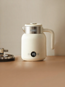 Thermostatic Smart Electric Kettle