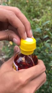 Minyak Pijat Bu Ida dayak TERLARIS No.1