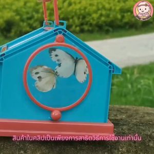 กล่องใส่แมลง กล่องเลี้ยงแมลง กล่องใส่ผีเสื้อ บ้านแมลง ขนาดเล็ก สําหรับใส่ศึกษาวงจรชีวิตแมลง