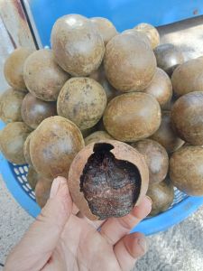 Quả la Hán Khô Ngọt (gói 500g-thanh nhiệt  thơm mát )