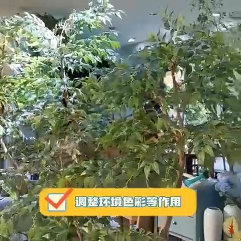 MURCH PINE BARK/ Pine scale Orchid potting Pine Bark GARDENING PLANTING PINE BARK MURCH