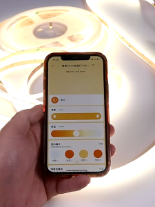 Tuya-Compatible Smart COB LED Strip with 3-Color Dimming & Adjustable Brightness/Color Temperature (24V 2700K-6500K) - Seamless Pairing with Doodle Smart Transformer