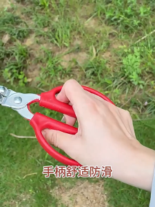 ที่จับปลาไหล ที่คีบฟันปลา คีบแน่น ไม่ลื่น ที่คีบอเนกประสงค์ ด้ามจับยาว วัสดุแข็งแรงทนทาน ไม่เป็นสนิม