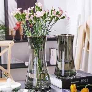 Ornate Gold Rim Simple Creative Nordic Internet Celebrity Living Room Floral Vase