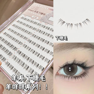 Natural Looking Fake Eyelashes Beginner Single Cluster Bare Face Small Flame Big Capacity Easy to Use Artificial Fiber B Curly