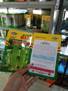 Benih Pare Paria Bangkok Crown F1 (Kulit Halus Ber gerigi sedang Tahan Simpan Tahan Virus) isi 10 Gram Benih Bermutu Unggul dan Berkualitas dari Cap Kapal Terbang