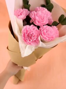 Crepe Paper Roll 50x250cm | for Paper Flowers Arts Crafts DIY Party Decorations Crepe Paper Roll 50X250 Cm Price Where To Buy Crepe Paper - Lazada