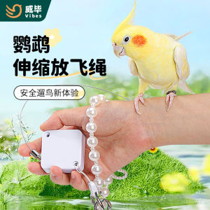 Automatic Retractable Leash Flight Ring for Parrot Outdoor Flying Walk Bird Non-injurious Foot Ring for Peafowl And Budgerigar