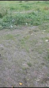 Kursi Lipat Outdoor Kursi Camping Santai Portable Serbaguna New Collection -YZ-7