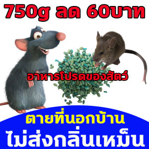 ยาเบื่อหนู 750g ลด 60บาท 1 คืน มี 500 ตารางเมตร ปลอดภัย รักษาสิ่งแวดล้อม ยาฆ่าหนู ทำจากข้าวสาลี จดสิทธิบัตร สูตร ยาไล่หนู ยาไล่หนู บ้าน คุณพิฏซ์ 200 ชั่วโมง