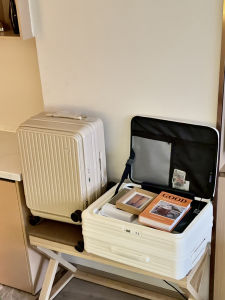 Fashionable Front Opening Luggage Suitcase with Password for Travel Women Men 20 Inch Carry on Bag Polyester Inner Material