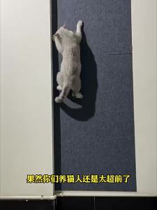 YIMING | Self-Adhesive Easy-to-Cut Cat Scratch Pad for Corners