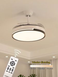 Nordic Fan Ceiling Light 72W Frequency Conversion Wind Lamp 220V Colorful Dimming Living Room Fixture