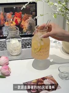 SHELI | INS Style High Borosilicate Glass Cup for Juice and Milk with Straw Functionality