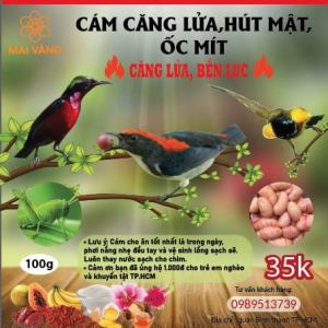 combo 5goi cám căng lửa hút mật và óc mít