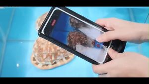 Túi Đựng Điện Thoại Chống Thấm Nước Trong Suốt Tiện Dụng Khi Đi Bơi