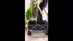 SG Stock  Heavy Duty Collapsible Folding Utility Wagon Trolley Cart Outdoor Camping Cart Beach Picnic Use