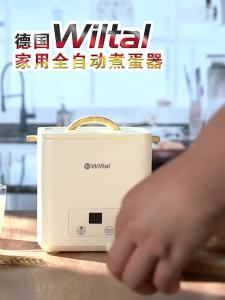 💥Dream Best🔥 Egg Boiler Household Small Automatic Power Off Appointment Timing Egg Boiling God Machine Multifunctional Egg Steamer