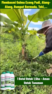 Herbicide for 100+ Weed Types Japanese Technology Fast Weed Control for Farms Fields & Gardens F1L