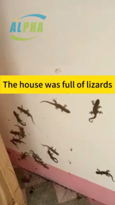 Ultrasonic 360° Lizard & Gecko Repellent - Silent Insect Killer UK Plug Safe for Humans