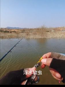 ปลายาง เอรากอน เหยื่อเอรากอน 8cm 13g ปลายางผิวน้ำ เหยื่อสคิปปิ้ง หนอนยาง เหยื่อบลูลี่ เหยื่อยาง เหยื่อปลายาง เหยื่อตกปลาช่อน เหยื่อตกปลาชะโด