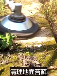 [VICKING6]ลวดเหล็กเครื่องตัดหญ้าหัวตัดหญ้ากำจัดวัชพืชหัวสนิมเครื่องตัดแปรง