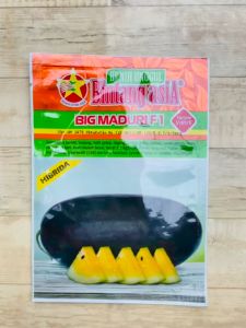 Benih Semangka Kuning BIG MADURI F1 isi 20gram dari Bintang Asia